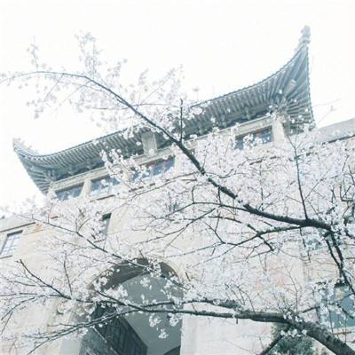 视频除故宫国博等，北京旅游景区全面取消预约